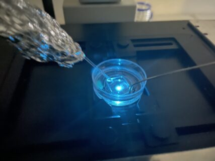 Brain slice, its alive! Yay!