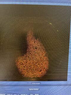 Is it a network of mitochondria? Or is it a Parmesan crisp?